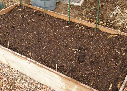 Проверенные способы высадки огурцов на открытом грунте Как посадить огурцы рассадой в открытый грунт